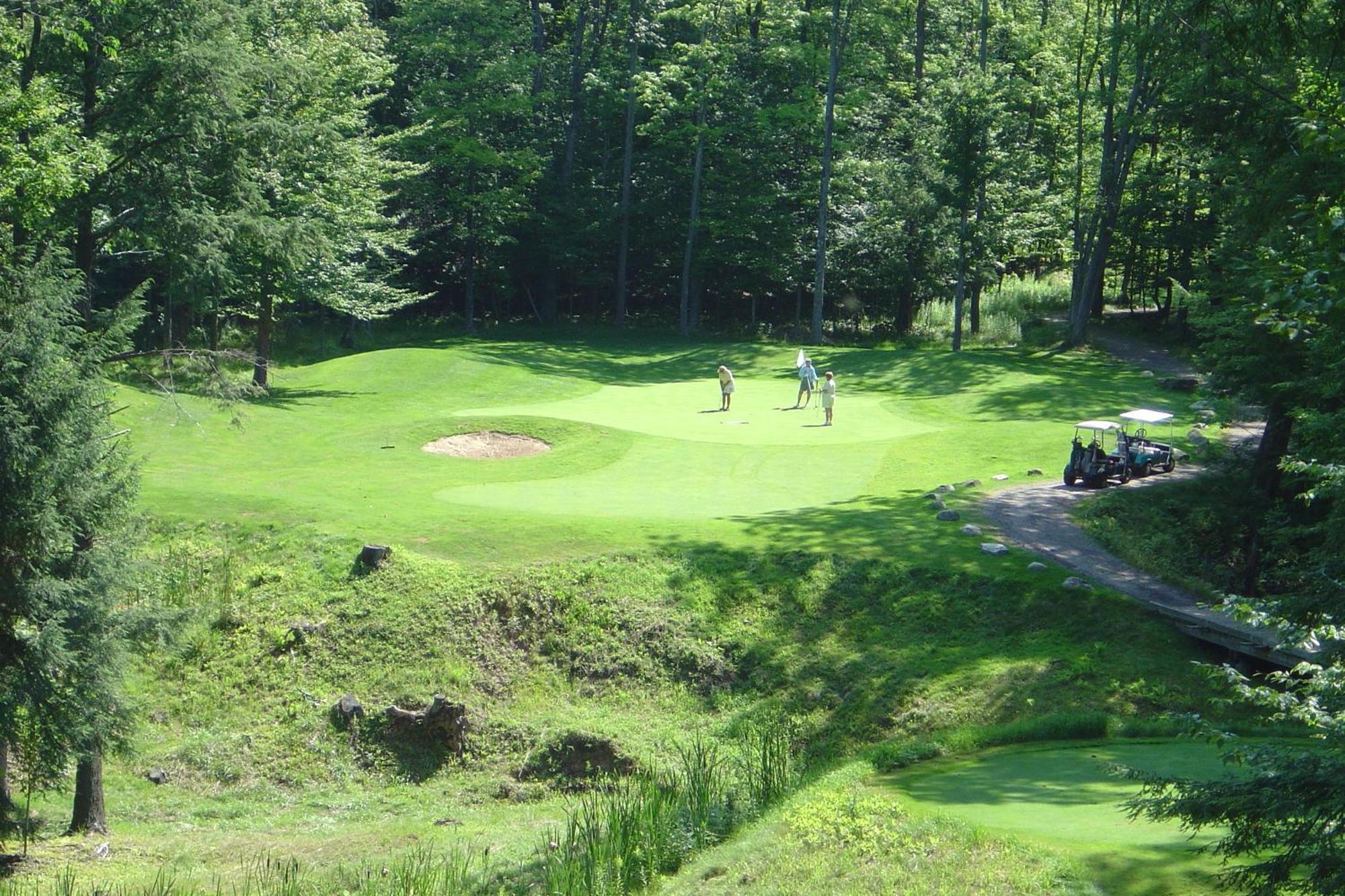 Caberfae Peaks Ski & Golf Resort Harrietta Exteriér fotografie